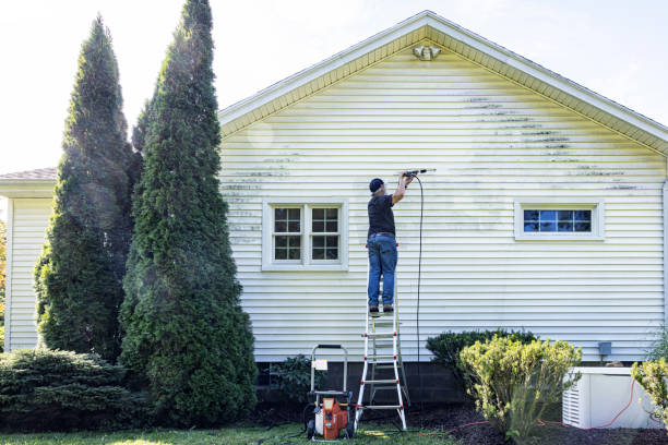 Reliable Battlement Mesa, CO Pressure Washing Solutions